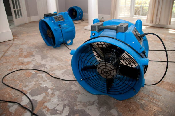 Water damage restoration experts in Franklin, TN