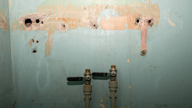 Best Emergency water damage restoration  in Franklin, TN